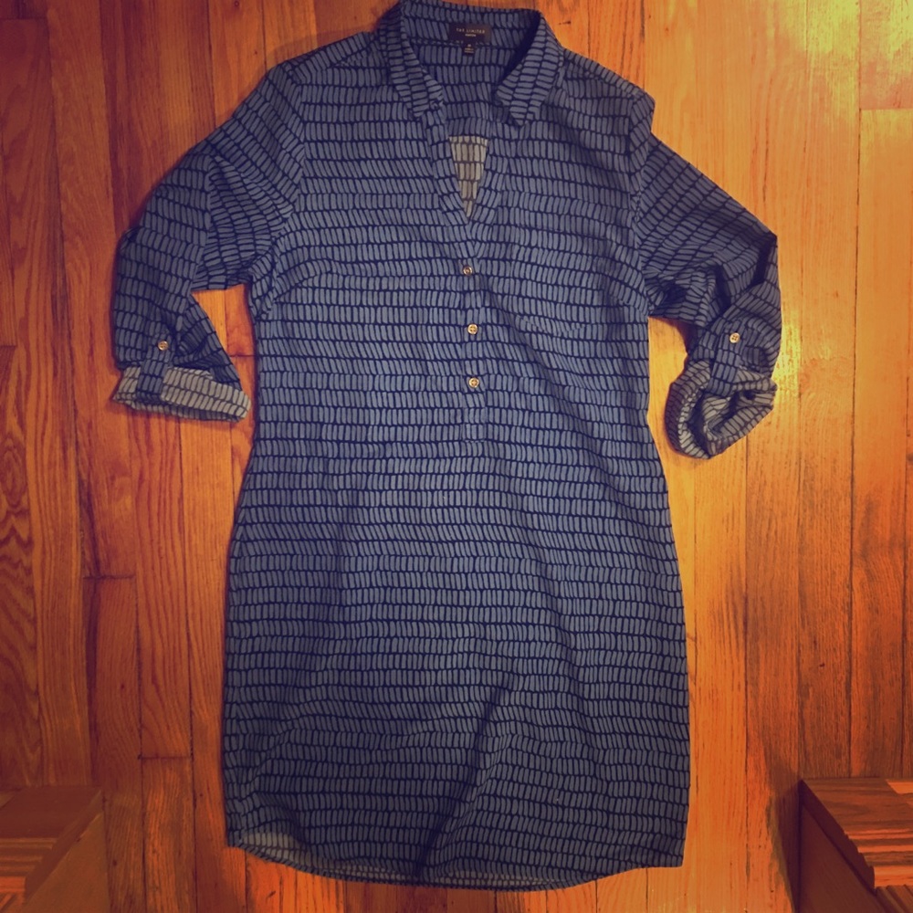 The Limited Ashton Collared Shirt Dress (Blue)- M